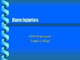 Burn Injuries PowerPoint PPT Presentation