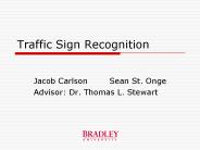 Traffic Sign Recognition