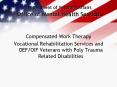 Department of Veterans Affairs Office of Mental Health Services PowerPoint PPT Presentation