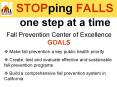 STOPping FALLS PowerPoint PPT Presentation