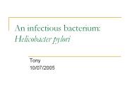 An%20infectious%20bacterium:%20Helicobacter%20pylori