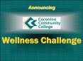 Wellness Challenge PowerPoint PPT Presentation
