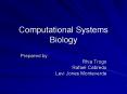 Computational Systems Biology PowerPoint PPT Presentation