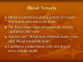 Blood Vessels PowerPoint PPT Presentation
