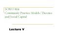 SOWO 804 Community Practice Models/Theories and Social Capital PowerPoint PPT Presentation