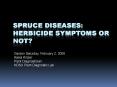 Spruce Diseases: Herbicide Symptoms or Not PowerPoint PPT Presentation