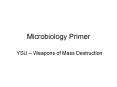 Microbiology Primer PowerPoint PPT Presentation