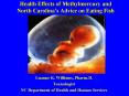 Health Effects of Methylmercury and North Carolina PowerPoint PPT Presentation