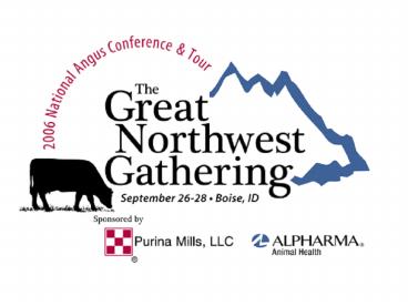 Back to Basics Selection Tools for Beef Cattle Improvement