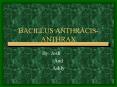 BACILLUS ANTHRACIS ANTHRAX PowerPoint PPT Presentation