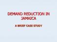 DEMAND REDUCTION IN JAMAICA PowerPoint PPT Presentation