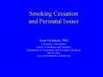 Smoking Cessation and Perinatal Issues PowerPoint PPT Presentation