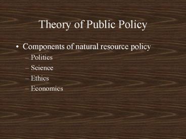 Theory of Public Policy