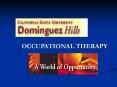 OCCUPATIONAL THERAPY PowerPoint PPT Presentation