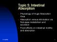 Topic 5: Intestinal Absorption PowerPoint PPT Presentation