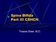 Spina Bifida Part III CSHCN PowerPoint PPT Presentation
