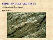 SEDIMENTARY ARCHIVES