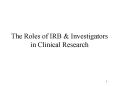 The Roles of IRB PowerPoint PPT Presentation