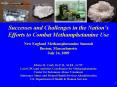 Successes and Challenges in the Nations Efforts to Combat Methamphetamine Use PowerPoint PPT Presentation