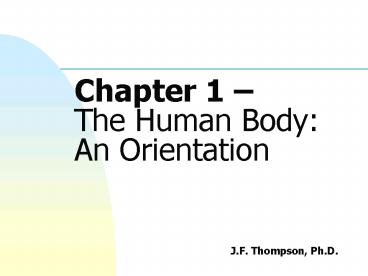 Chapter 1 The Human Body: An Orientation