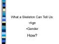 What a Skeleton Can Tell Us: PowerPoint PPT Presentation