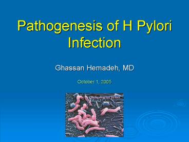 Pathogenesis of H Pylori Infection
