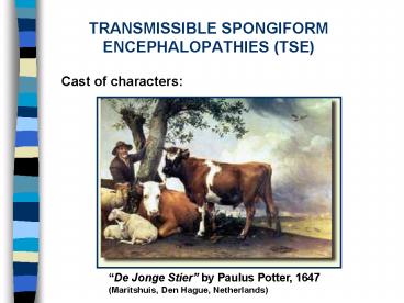 TRANSMISSIBLE SPONGIFORM ENCEPHALOPATHIES TSE