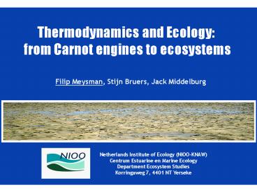 Filip Meysman, Stijn Bruers, Jack Middelburg