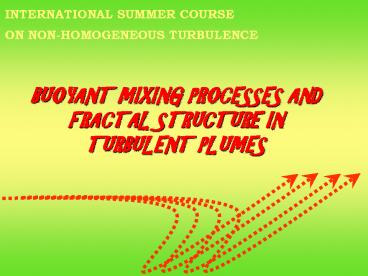 BUOYANT MIXING PROCESSES AND FRACTAL STRUCTURE IN TURBULENT PLUMES
