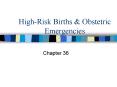 HighRisk Births PowerPoint PPT Presentation