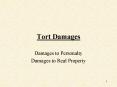 Tort Damages PowerPoint PPT Presentation