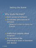 Setting the Scene PowerPoint PPT Presentation