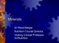 Minerals PowerPoint PPT Presentation