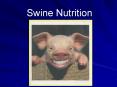 Swine Nutrition PowerPoint PPT Presentation