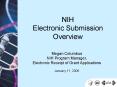 Electronic Submission Overview 01-11-06 PowerPoint PPT Presentation