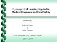 Hyperspectral Imaging Applied to Medical Diagnoses and Food Safety PowerPoint PPT Presentation