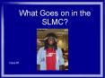 What Goes on in the SLMC? PowerPoint PPT Presentation