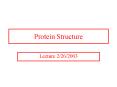 Protein Structure PowerPoint PPT Presentation