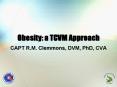Obesity: a TCVM Approach PowerPoint PPT Presentation