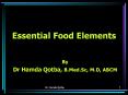 Essential Food Elements PowerPoint PPT Presentation