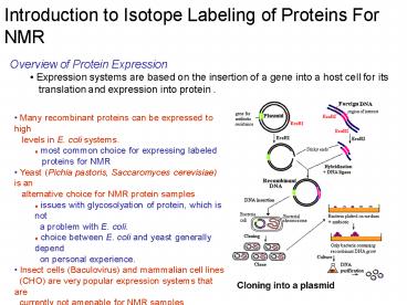 Overview of Protein Expression