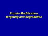 Protein%20Modification,%20targeting%20and%20degradation