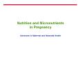 Nutrition and Micronutrients in Pregnancy PowerPoint PPT Presentation