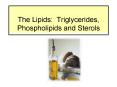 The Lipids: Triglycerides, Phospholipids and Sterols PowerPoint PPT Presentation