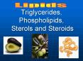 Triglycerides, Phospholipids, Sterols and Steroids PowerPoint PPT Presentation
