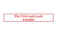 The Citric acid cycle 4162003 PowerPoint PPT Presentation