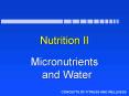 Nutrition II PowerPoint PPT Presentation