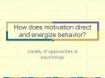 How does motivation direct and energize behavior? PowerPoint PPT Presentation