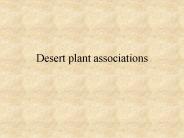 Desert plant associations