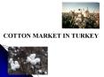 COTTON MARKET IN TURKEY PowerPoint PPT Presentation